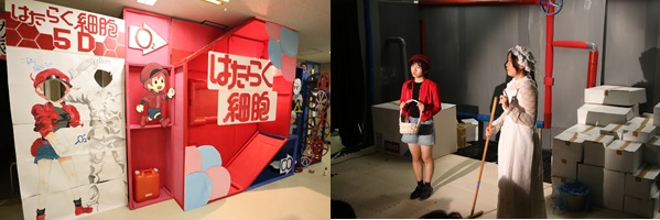5D外装 (3).JPG